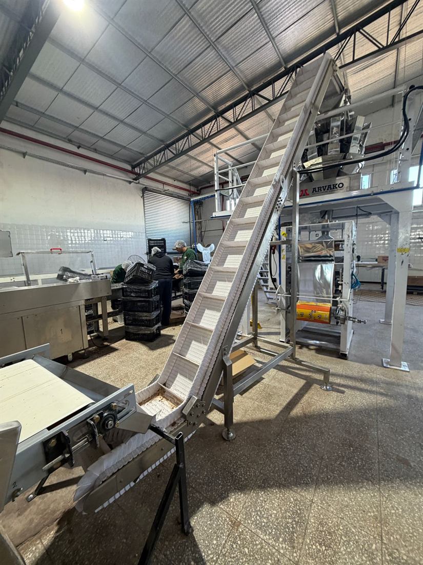 Línea de producción alimenticia con transportador sanitario y envasadora