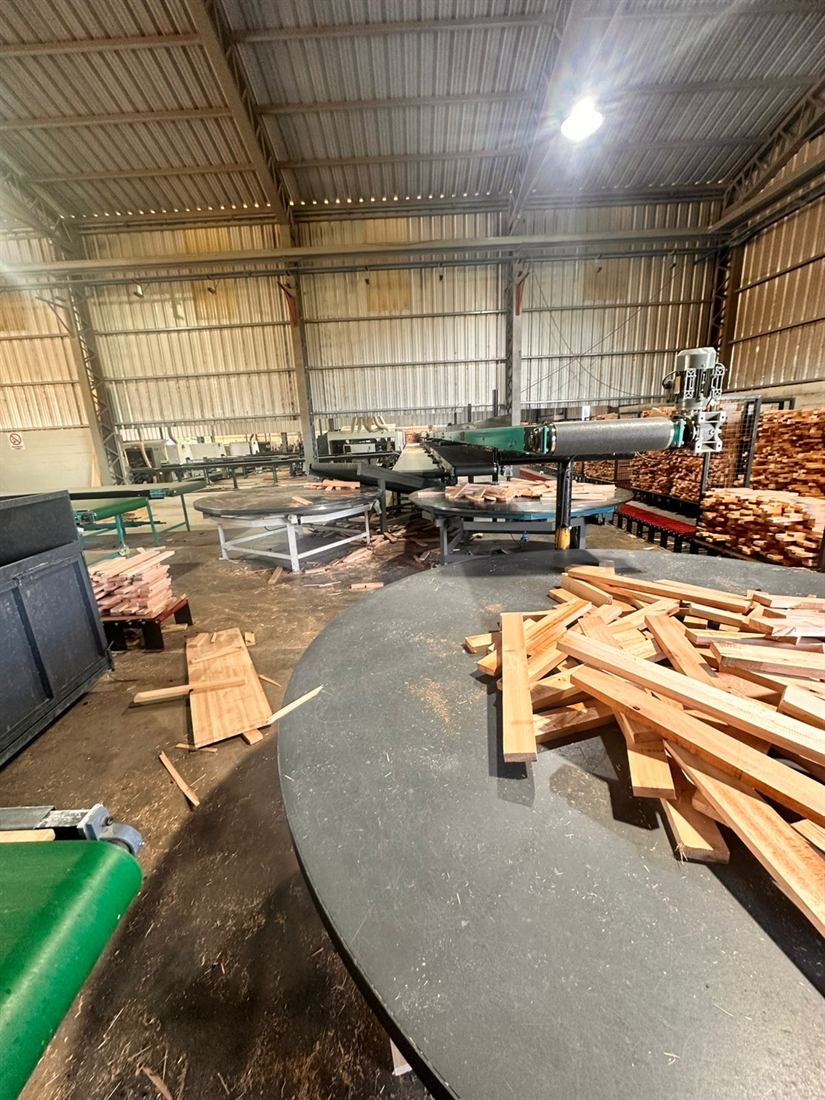 Línea de producción de madera con cintas, mesas giratorias y transfer